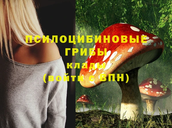 молекула духа Богородск