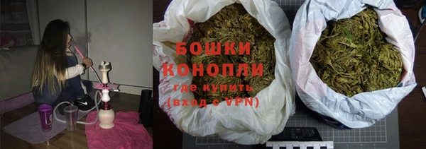 молекула духа Богородск