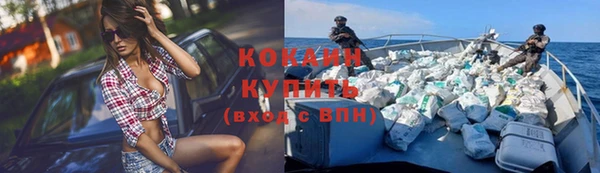 молекула духа Богородск
