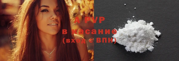 прущий лед Богданович