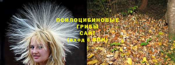 прущий лед Богданович