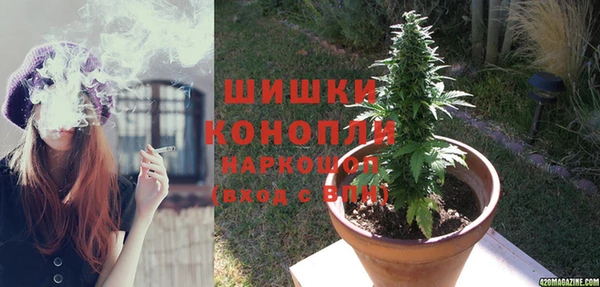 прущий лед Богданович