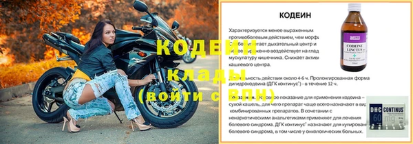 дживик Богородицк
