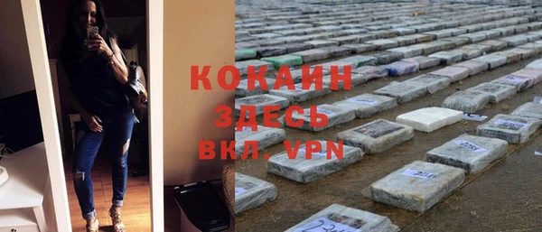 прущий лед Богданович
